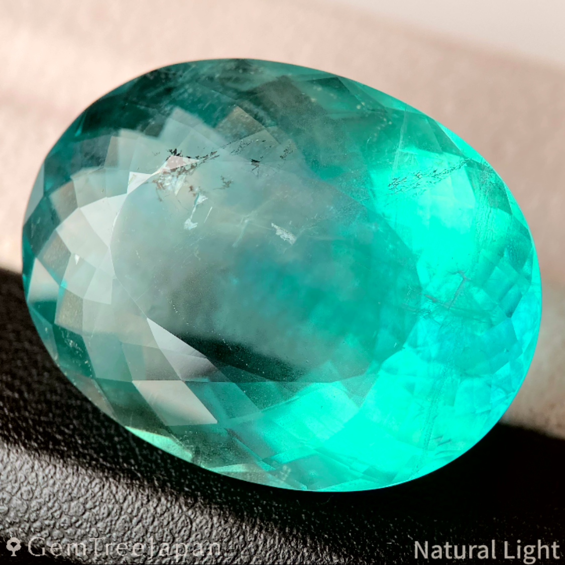Fluorite 68.26ct / U.S.A.