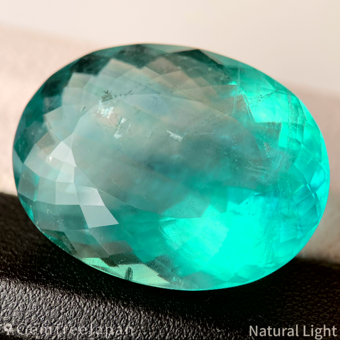 Fluorite 68.26ct / U.S.A.