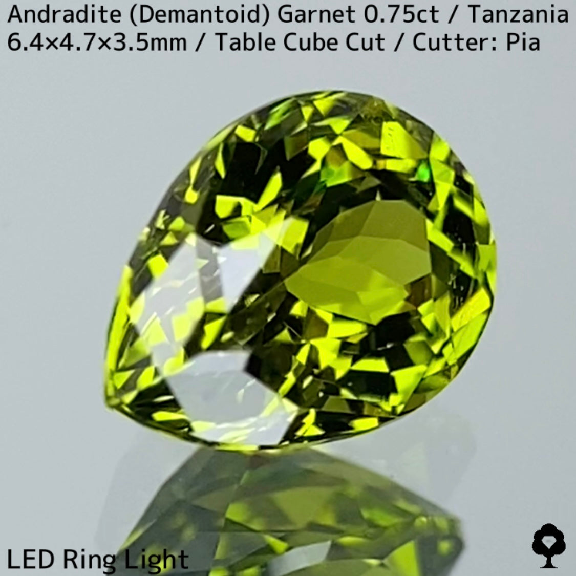 Andradite Demantoid Garnet 0.757ct / Tanzania