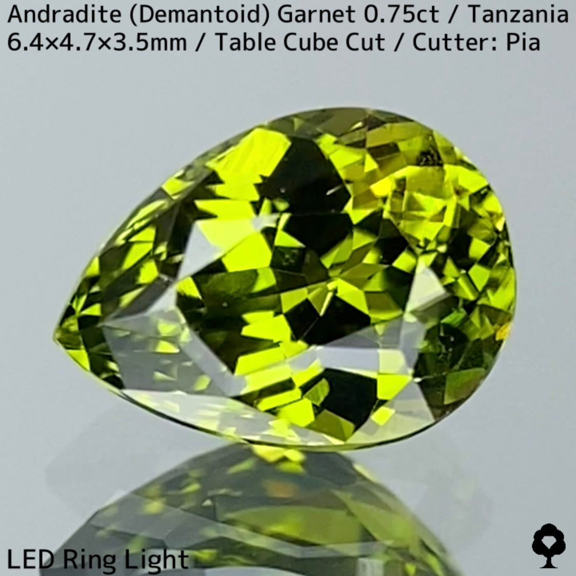 Andradite Demantoid Garnet 0.757ct / Tanzania