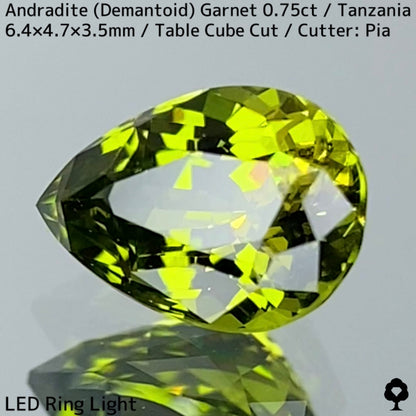 Andradite Demantoid Garnet 0.757ct / Tanzania