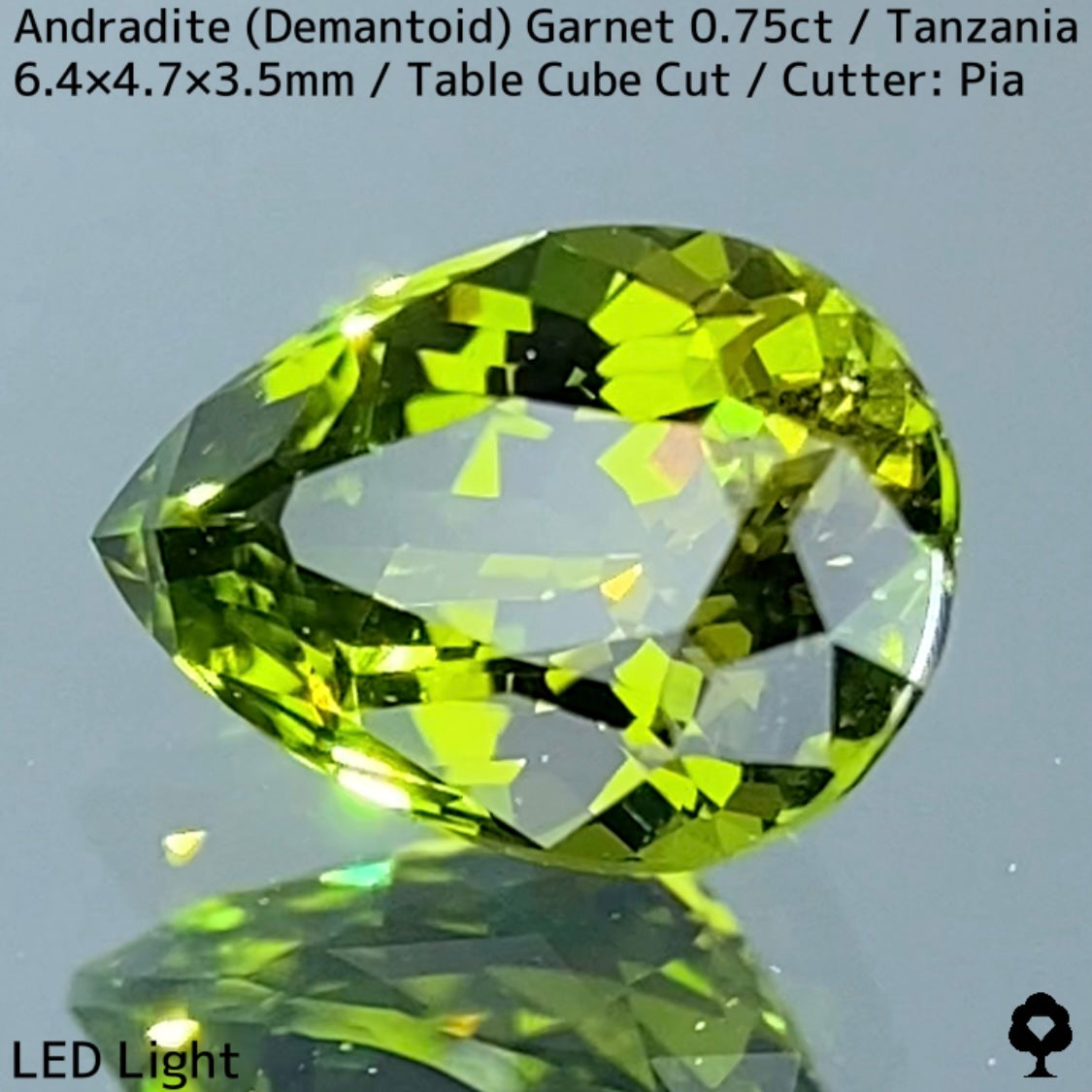 Andradite Demantoid Garnet 0.757ct / Tanzania