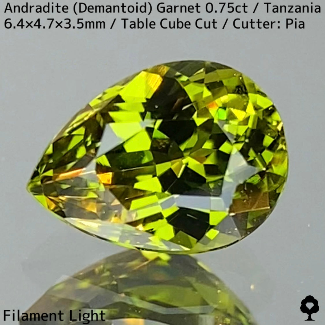 Andradite Demantoid Garnet 0.757ct / Tanzania