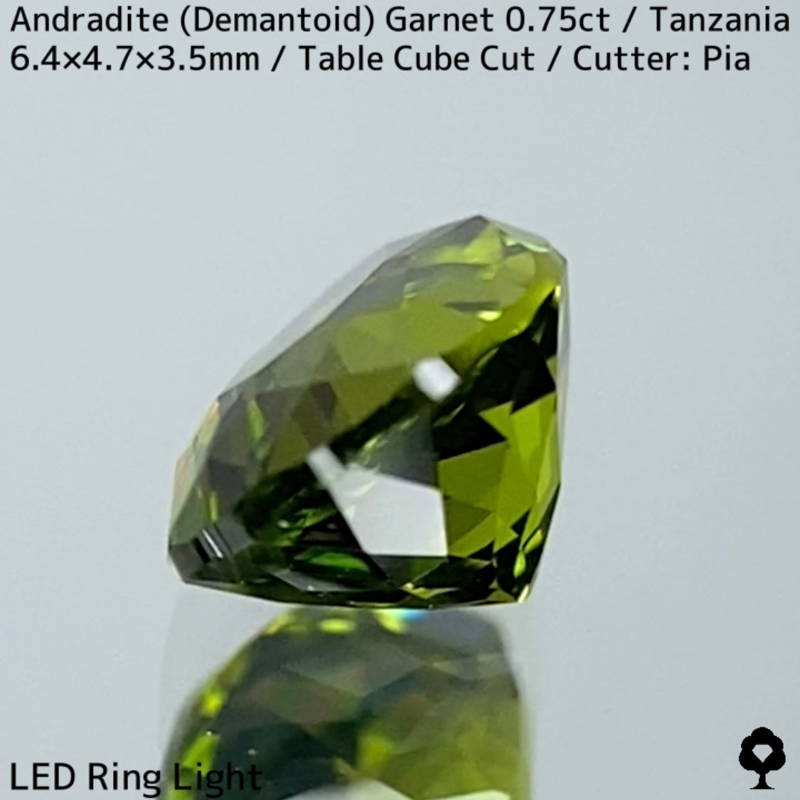 Andradite Demantoid Garnet 0.757ct / Tanzania