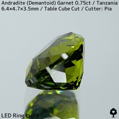 Andradite Demantoid Garnet 0.757ct / Tanzania