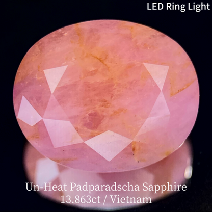 Un-Heat Padparadscha Sapphire 13.683ct / Vietnam