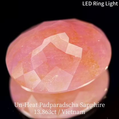 Un-Heat Padparadscha Sapphire 13.683ct / Vietnam