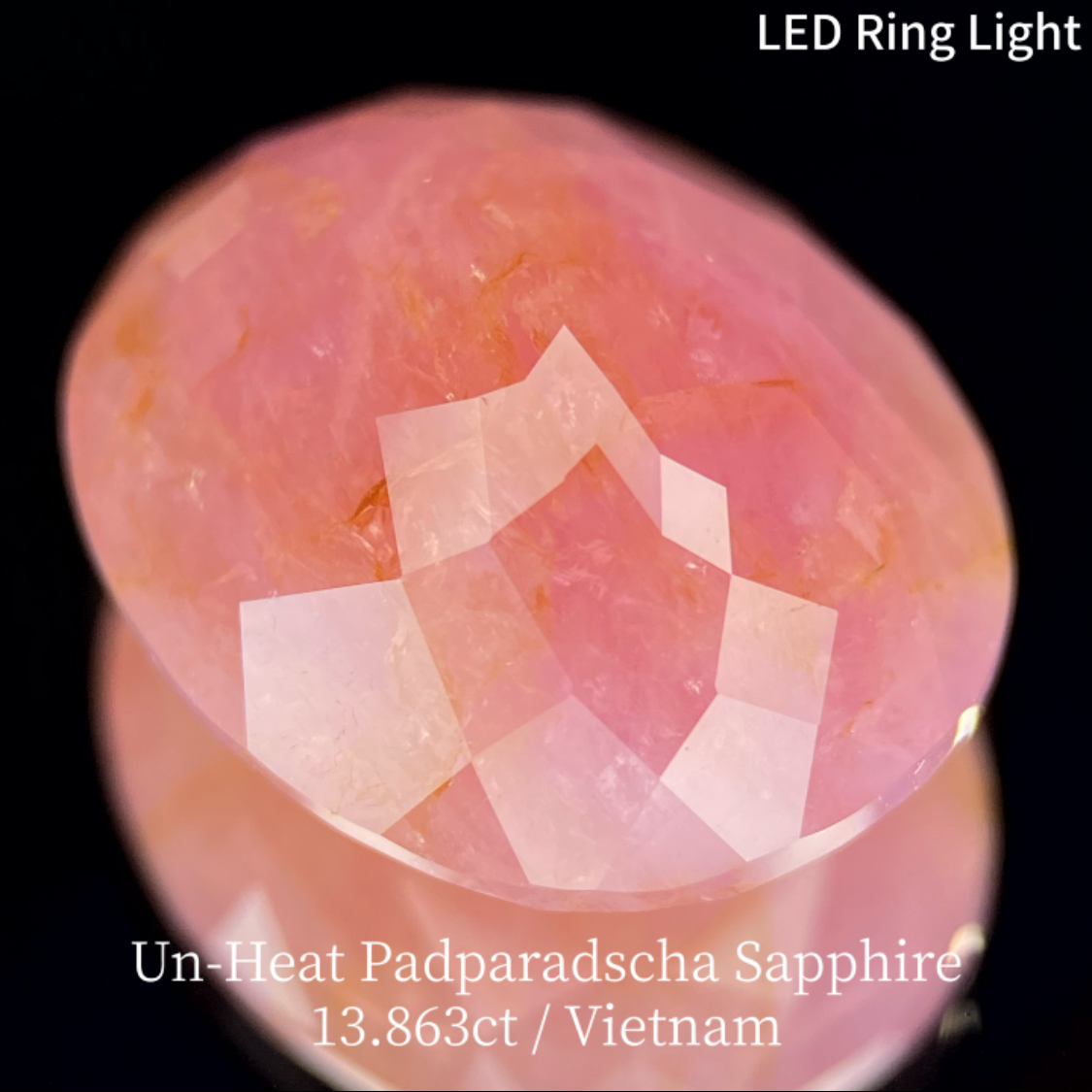 Un-Heat Padparadscha Sapphire 13.683ct / Vietnam