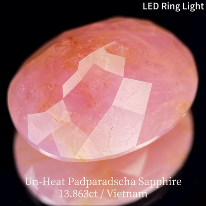 Un-Heat Padparadscha Sapphire 13.683ct / Vietnam