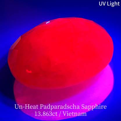 Un-Heat Padparadscha Sapphire 13.683ct / Vietnam