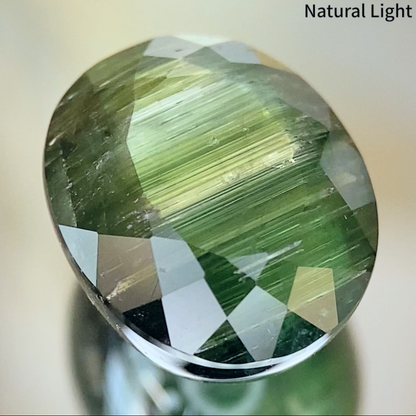 Tourmaline Cat's Eye 7.524ct / Brazil