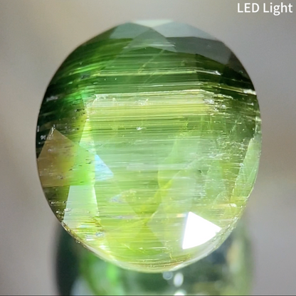 Tourmaline Cat's Eye 7.524ct / Brazil