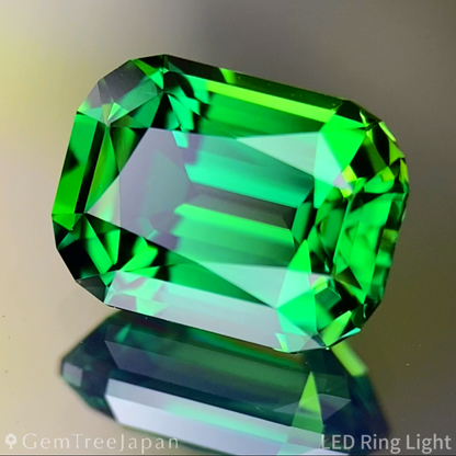 Chrome Tourmaline 1.879ct / Tanzania