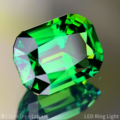 Chrome Tourmaline 1.879ct / Tanzania