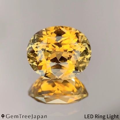 Parti-color Sapphire 0.787ct / Thailand(Kanchanaburi)