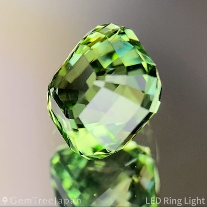 Green Tourmaline 1.260ct / Tanzania