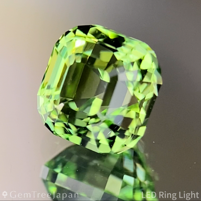 Green Tourmaline 1.260ct / Tanzania