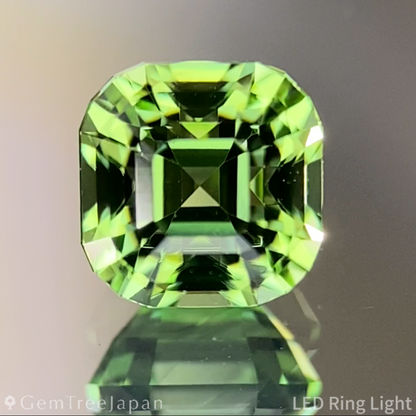 Green Tourmaline 1.260ct / Tanzania