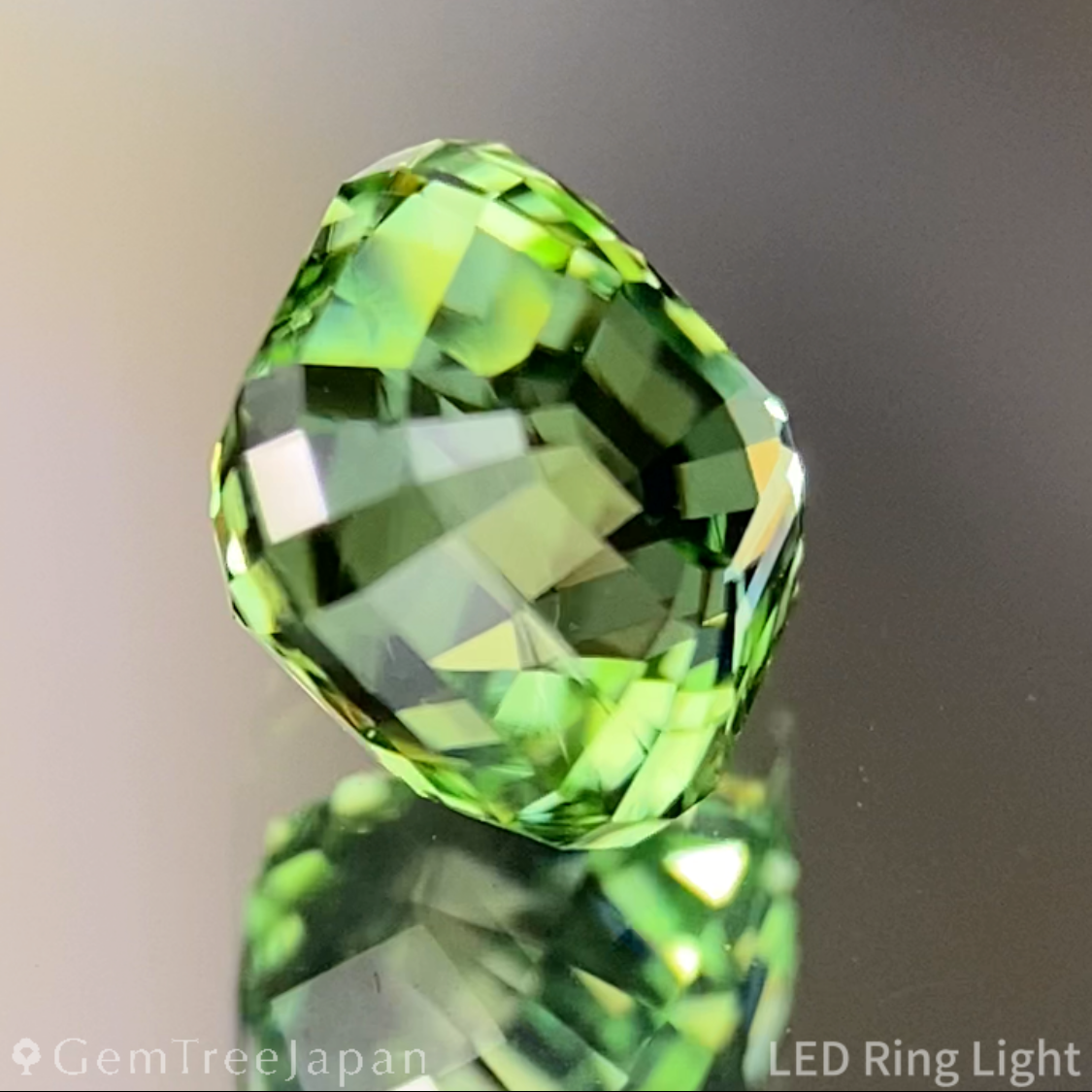 Green Tourmaline 1.260ct / Tanzania
