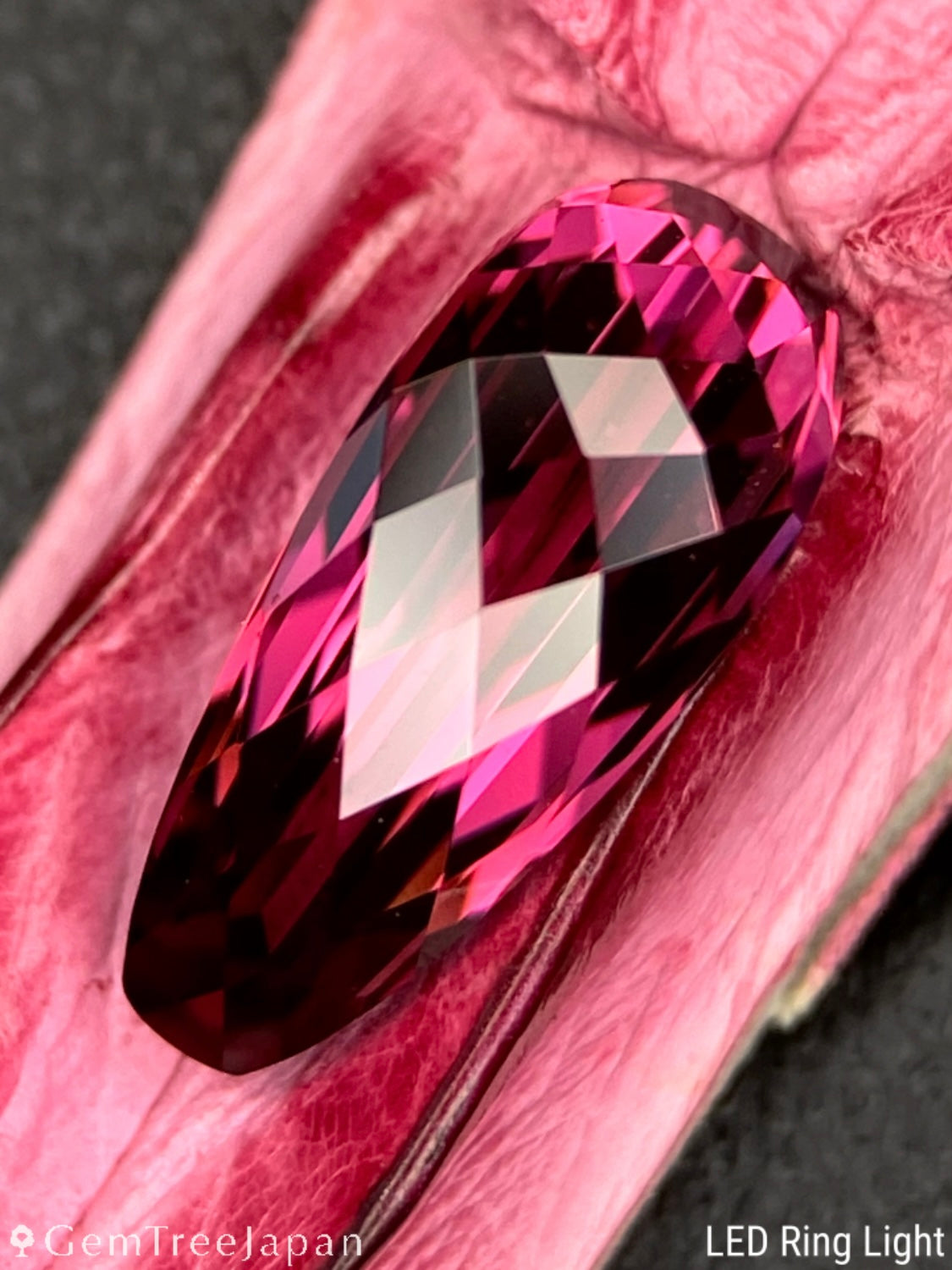 "Pink Crocodile's Claw" Malaya Garnet 2.02ct / Tanzania【One Price】