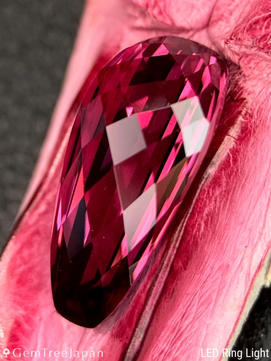 "Pink Crocodile's Claw" Malaya Garnet 2.02ct / Tanzania【One Price】