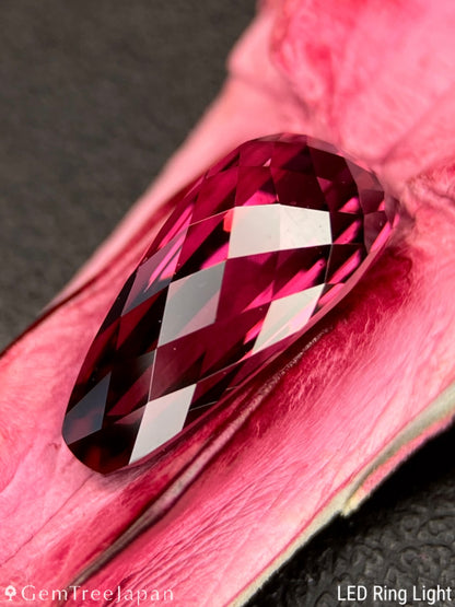 "Pink Crocodile's Claw" Malaya Garnet 2.02ct / Tanzania【One Price】