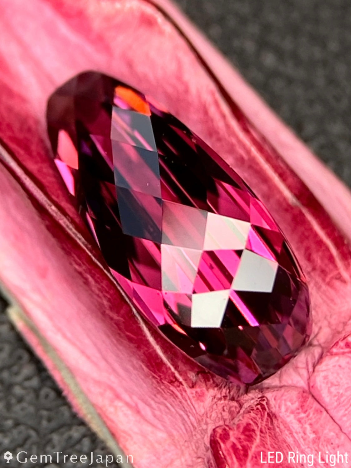 "Pink Crocodile's Claw" Malaya Garnet 2.02ct / Tanzania【One Price】