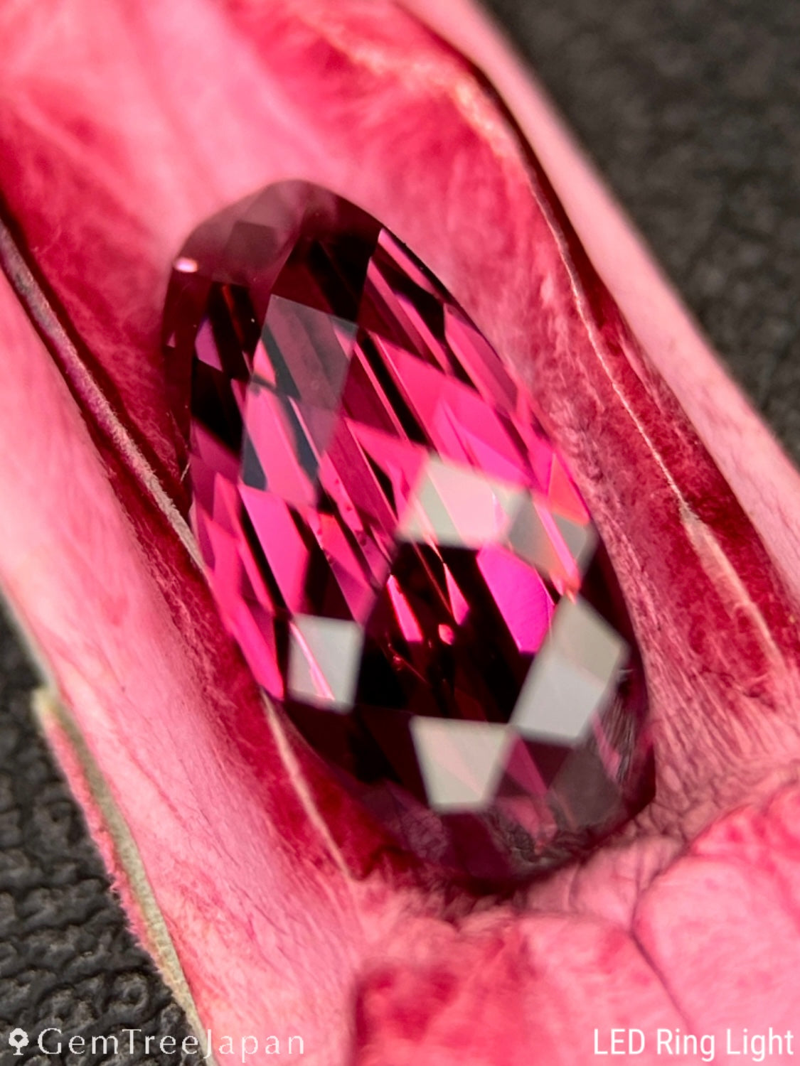 "Pink Crocodile's Claw" Malaya Garnet 2.02ct / Tanzania【One Price】