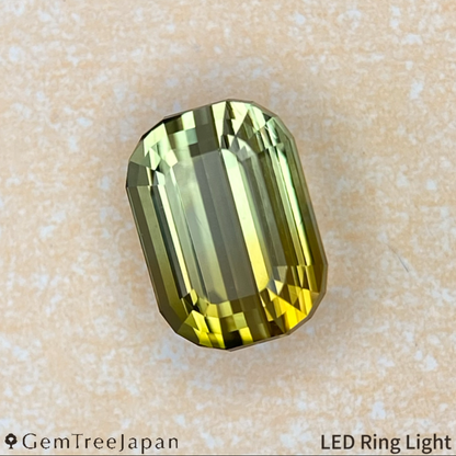 "Super Elegant" Parti-Color Tourmaline 0.971ct / Tanzania