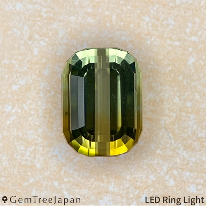 "Super Elegant" Parti-Color Tourmaline 0.971ct / Tanzania