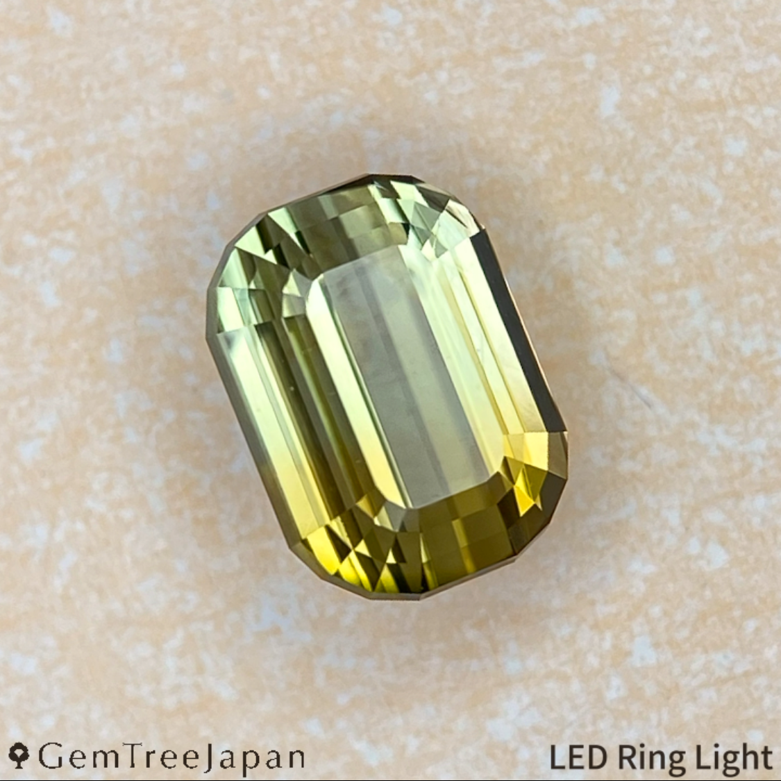 "Super Elegant" Parti-Color Tourmaline 0.971ct / Tanzania