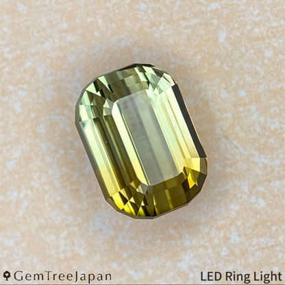 "Super Elegant" Parti-Color Tourmaline 0.971ct / Tanzania