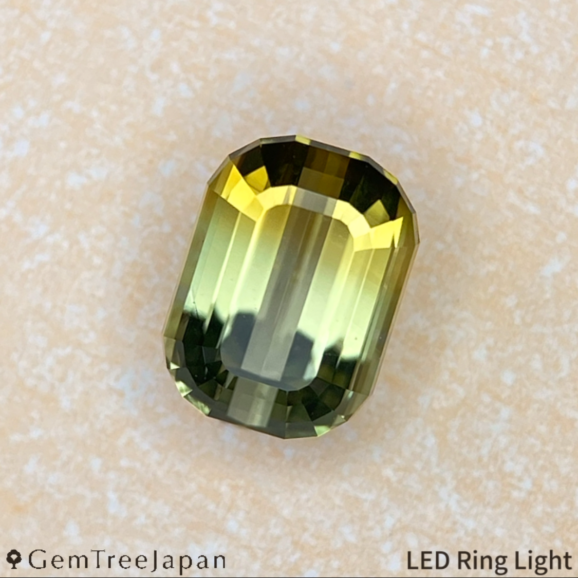 "Super Elegant" Parti-Color Tourmaline 0.971ct / Tanzania