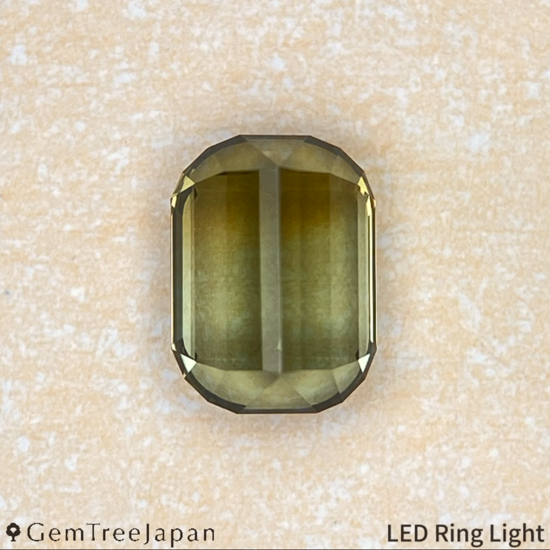 "Super Elegant" Parti-Color Tourmaline 0.971ct / Tanzania