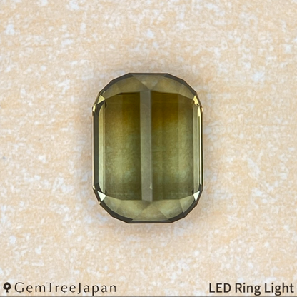"Super Elegant" Parti-Color Tourmaline 0.971ct / Tanzania