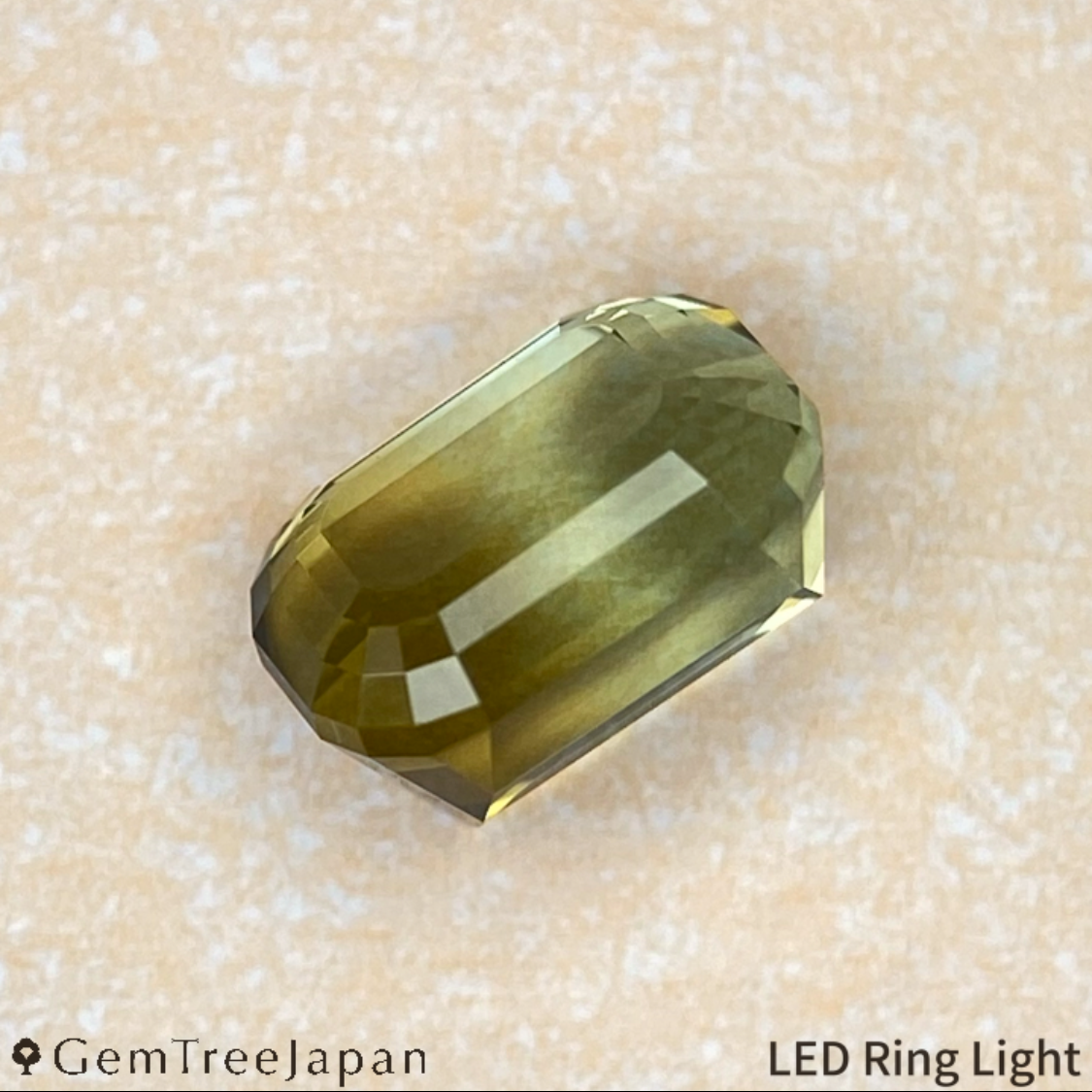 "Super Elegant" Parti-Color Tourmaline 0.971ct / Tanzania