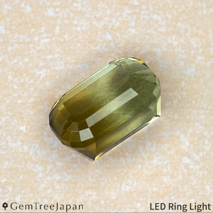 "Super Elegant" Parti-Color Tourmaline 0.971ct / Tanzania