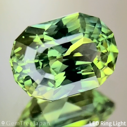 Yellowish Green Sapphire 1.240ct / Nigeria