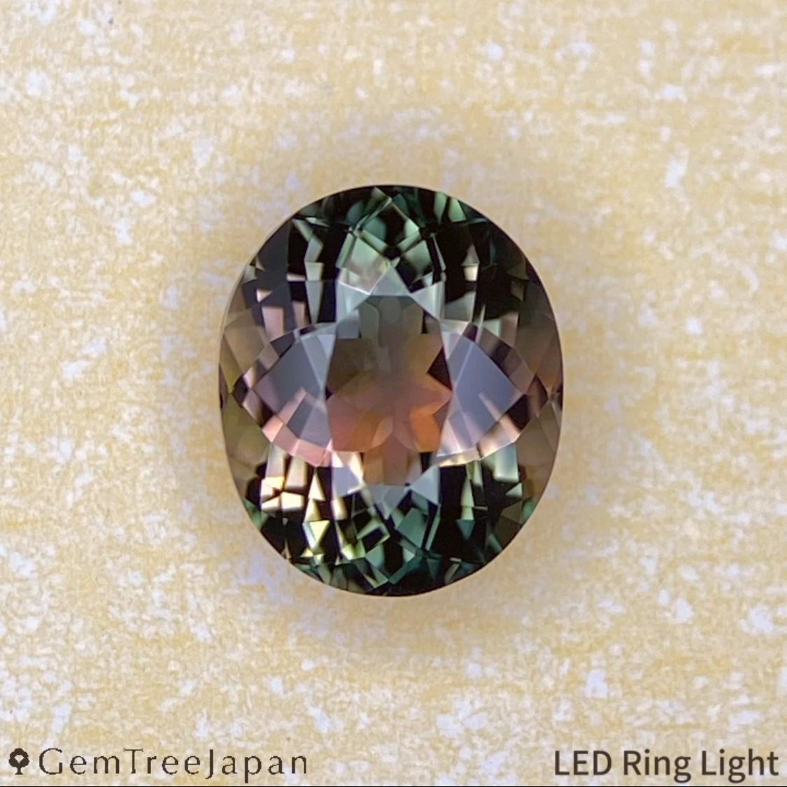 Parti-Color Tourmaline 0.870ct / Brazil