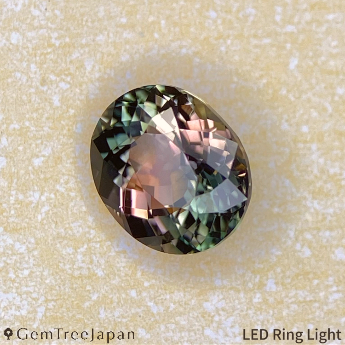 Parti-Color Tourmaline 0.870ct / Brazil