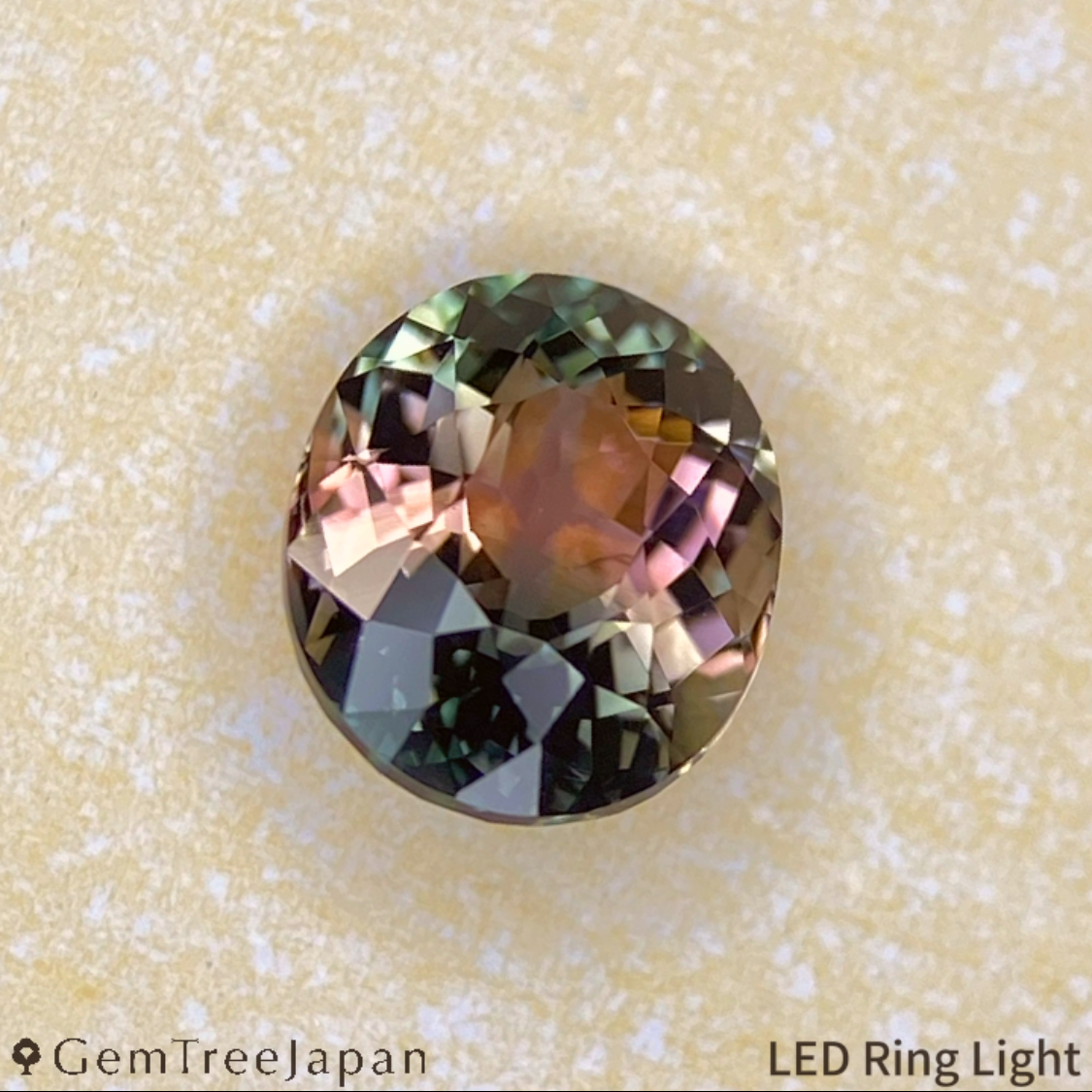 Parti-Color Tourmaline 0.870ct / Brazil