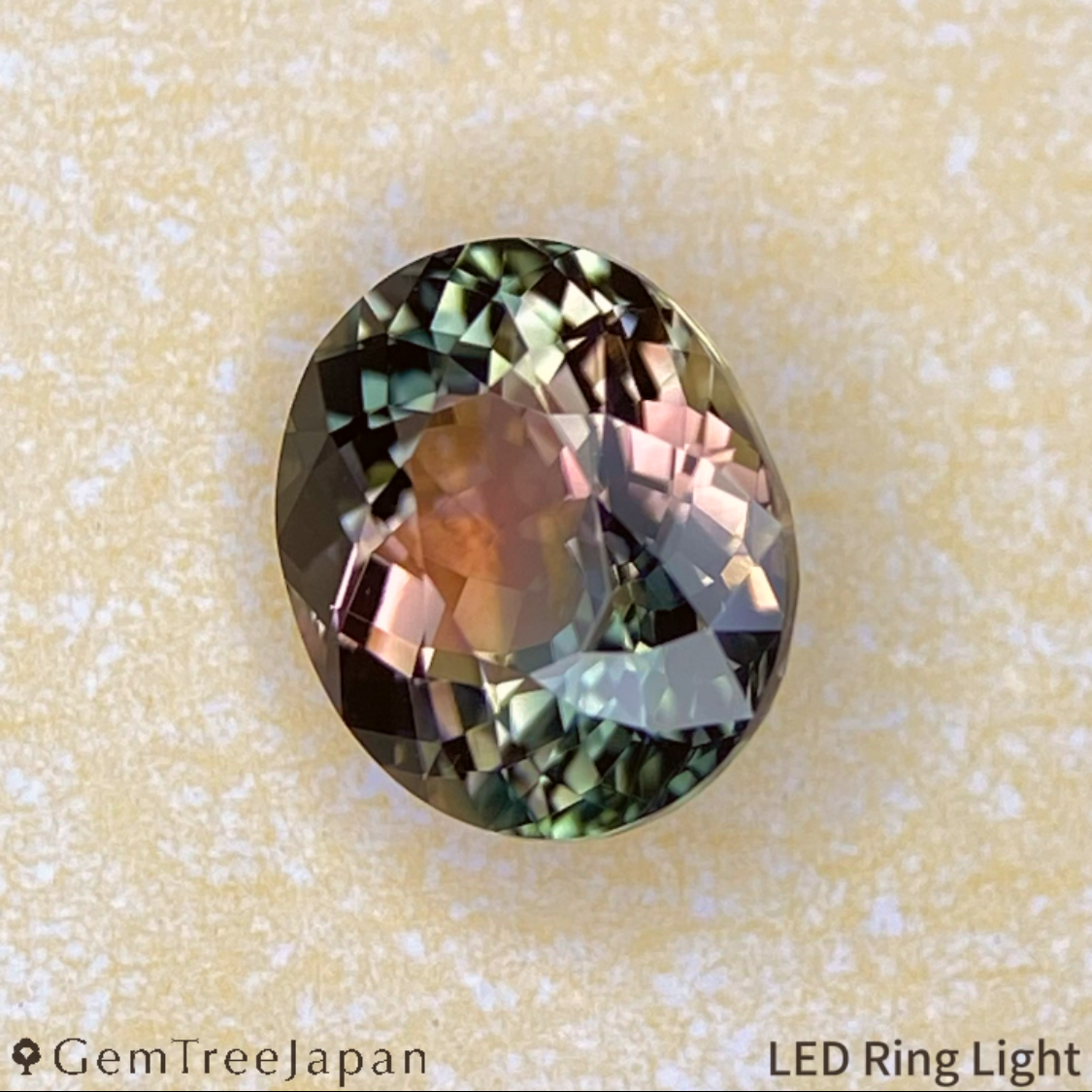 Parti-Color Tourmaline 0.870ct / Brazil