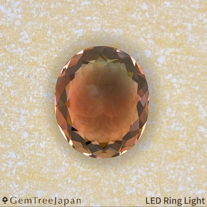 Parti-Color Tourmaline 0.870ct / Brazil