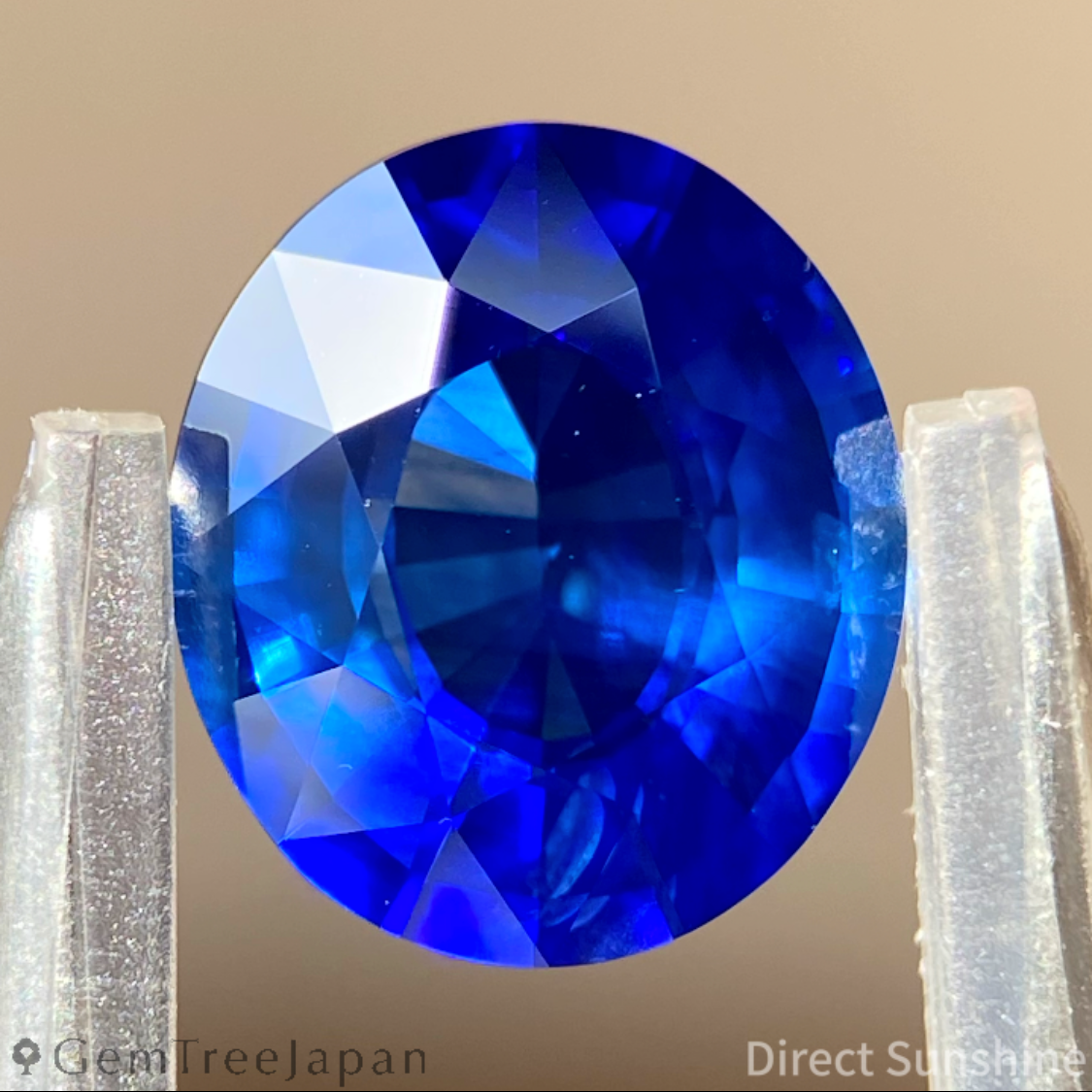 【100万円福袋入り】Cornflower Blue Sapphire 3.051ct / Burma