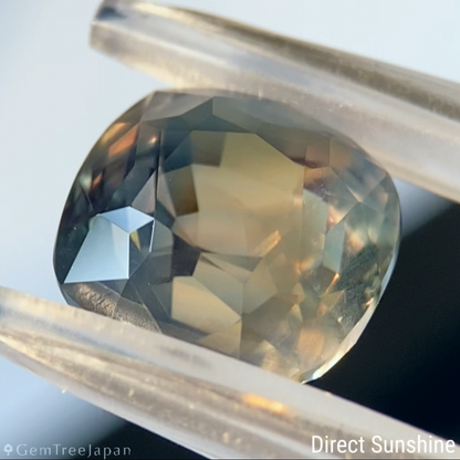 Un-Heat Parti-Color Sapphire 6.533ct / Nigeria