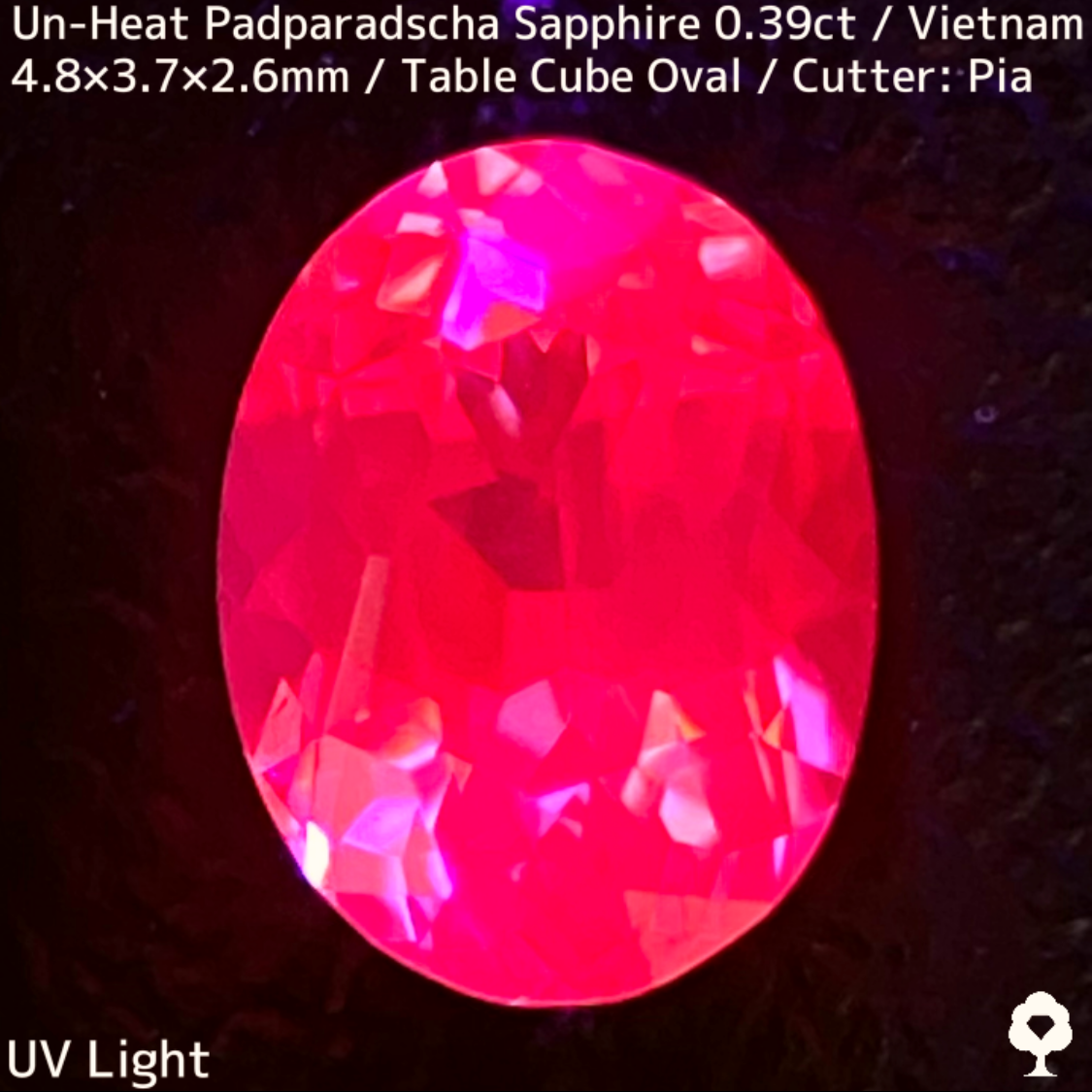 Un-Heat Padparadscha Sapphire 0.39ct