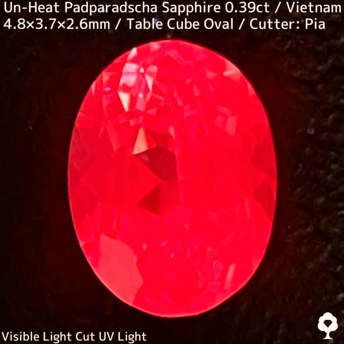 Un-Heat Padparadscha Sapphire 0.39ct