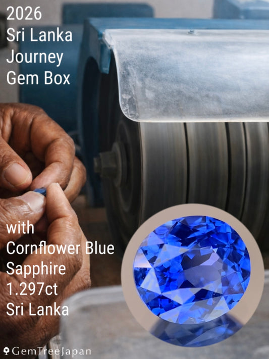 【1石確定宝石箱】コーンフラワーブルーサファイア 1.297ct / 2026スリランカ旅宝石箱