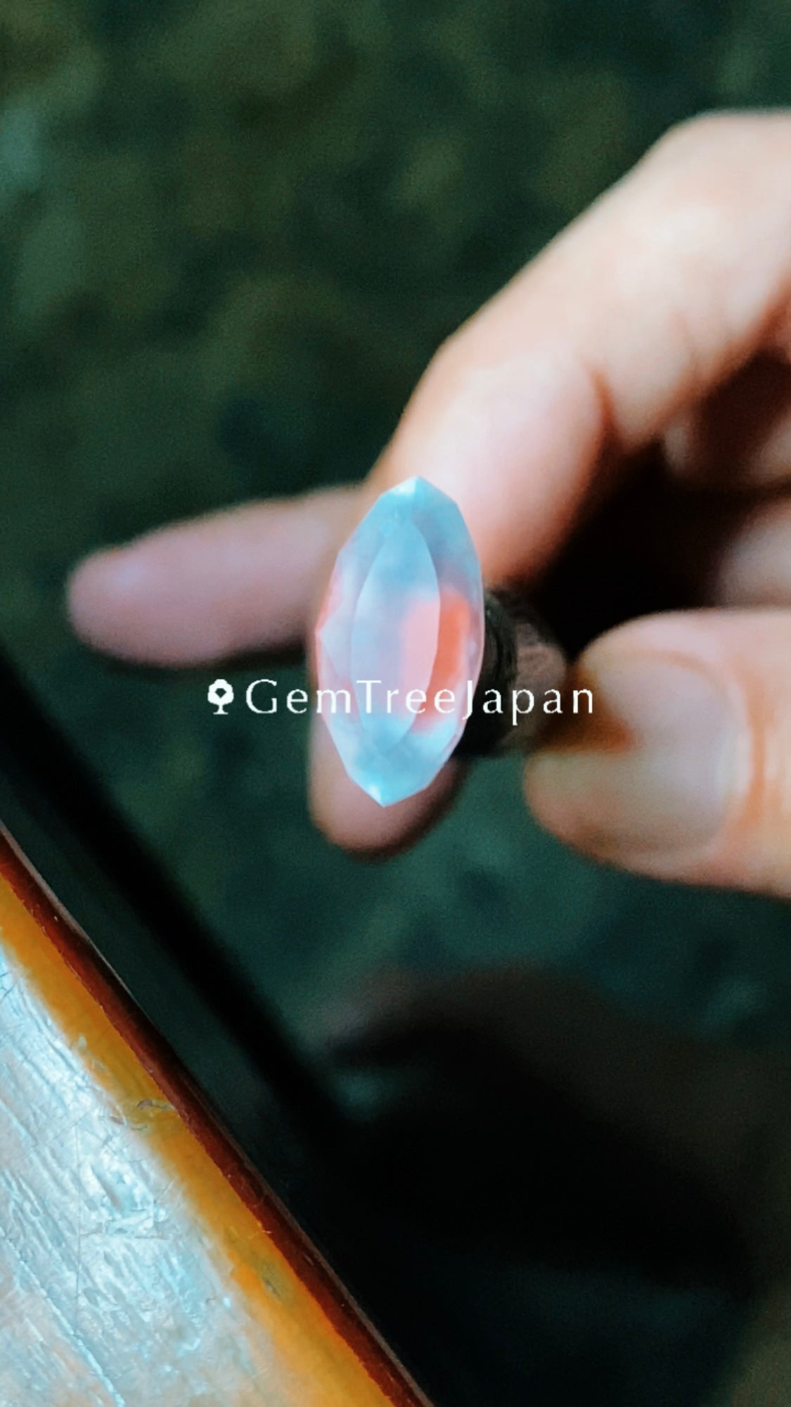 GemTreeJapan in IRMO.JP