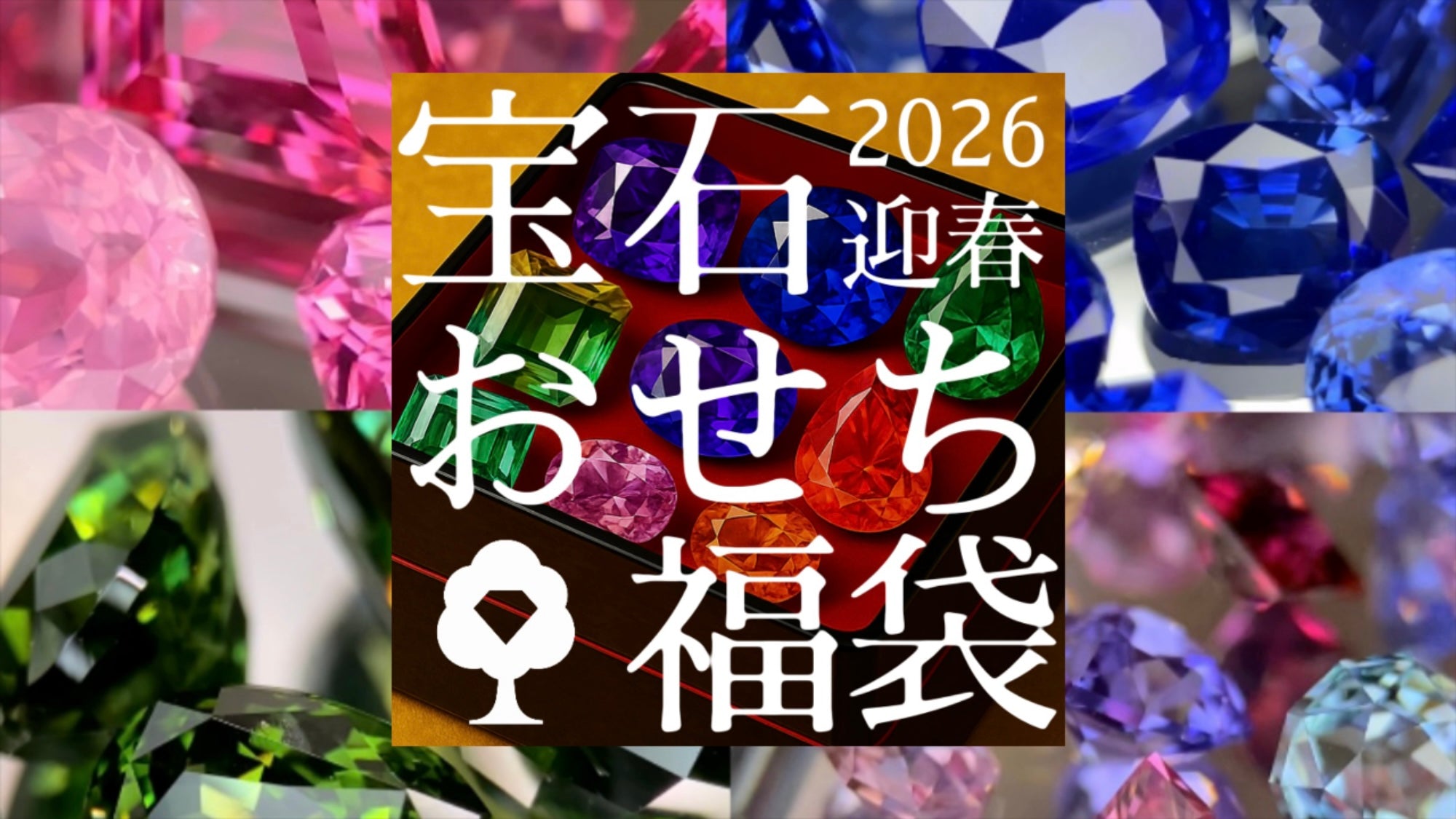 動画を読み込む: 